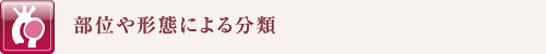 部位や形態による分類