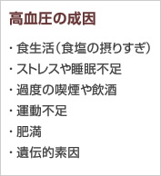 図:高血圧の成因